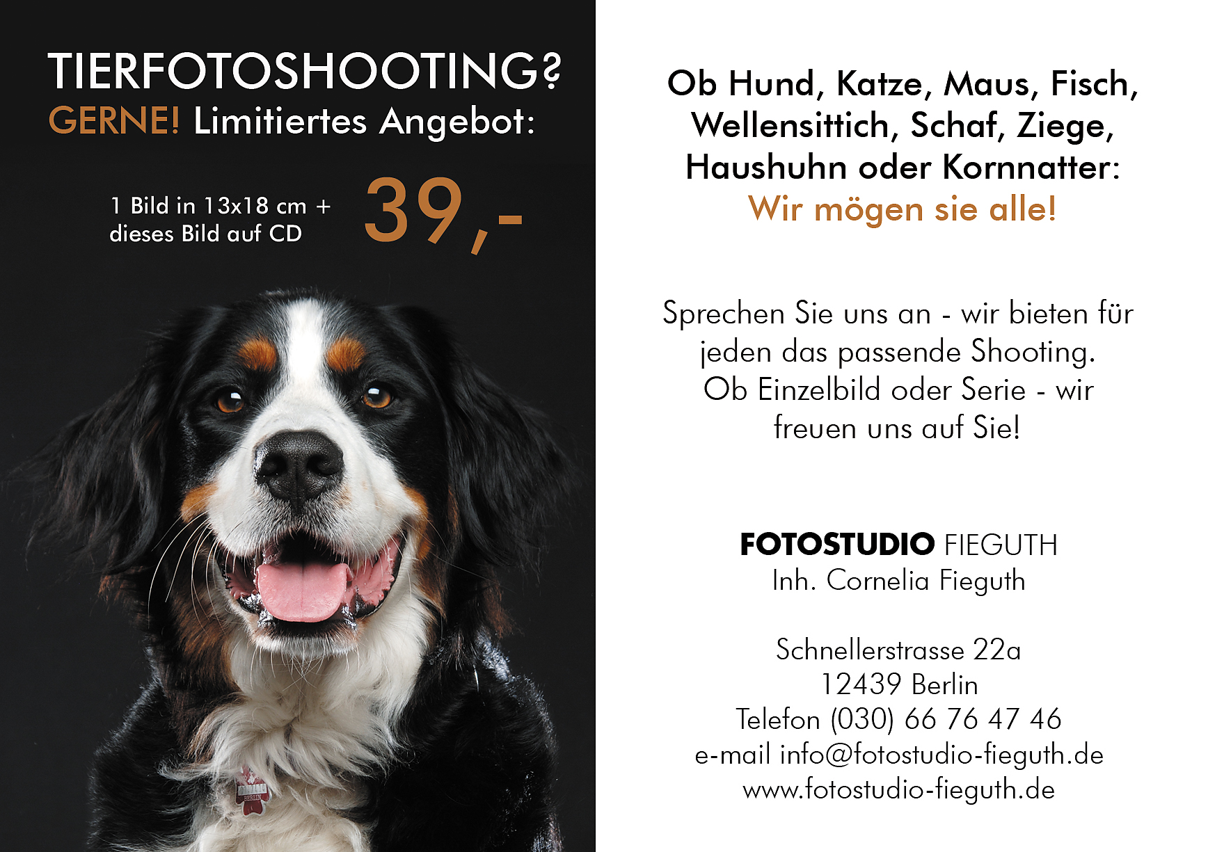 Neue Aktion Neue Flyer Fotostudio Fieguth